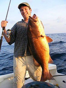 Pesca deportiva - Wikipedia, la enciclopedia libre