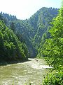 Die Schlucht des Dunajec flussabwärts gesehen – das rechte Ufer ist slowakisch, das linke polnisch.