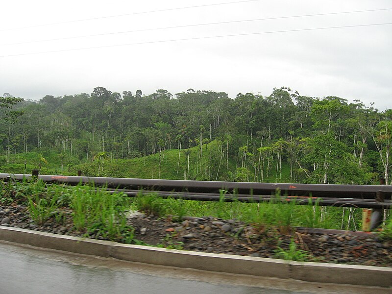 Fitxategi:Pipes in Ecuador.jpg