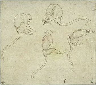 Vier apen, inv. 2388r, pen en potlood op lichtroze papier, 15,4 × 17,3