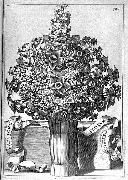 File:Plate from "Flora, seu de florum cultura", Ferrari 1646 Wellcome L0007613.jpg