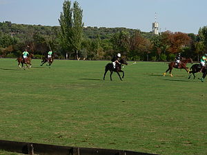 Deporte Polo