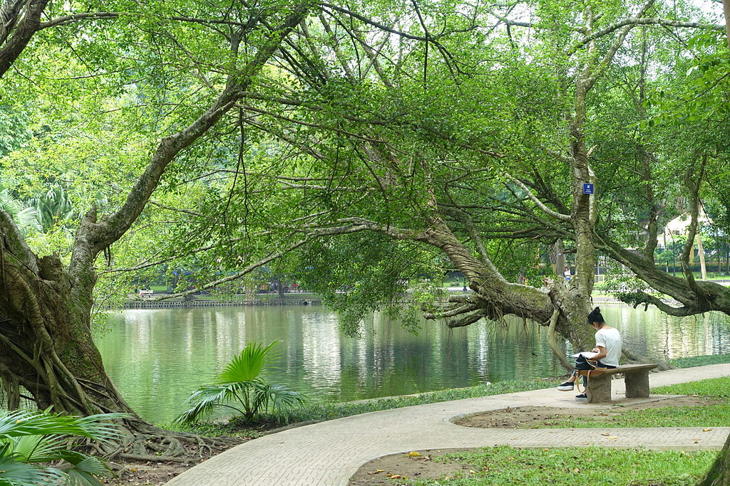 Pond - Hanoi Botanical Garden - Hanoi, Vietnam - DSC03590