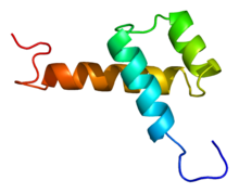 Protein TITF1 PDB 1ftt.png