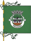 Drapeau de Mealhada