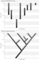 Il modello di equilibrio punteggiato (in alto) consiste in una stabilità morfologica seguita da rare esplosioni di cambiamento evolutivo tramite una rapida cladogenesi, stati di equilibrio verticale separati da fasi di "salto" orizzontali. Al contrario, il gradualismo filetico (in basso) è un modello di evoluzione più graduale e continuo, con accumulo di piccoli cambiamenti incrementalipuntaggiato