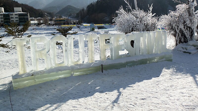 File:Pyeongchang Trout Festival (3).jpg