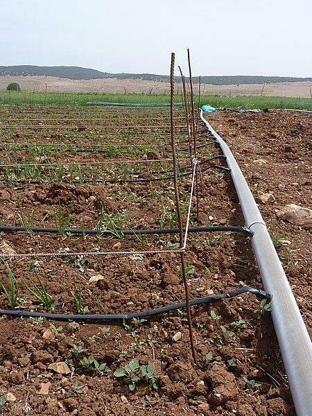 File:Résau d'irrigation par Urine - Irrigation network for Urine (9948102953).jpg