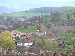 Skyline of Paltiniš