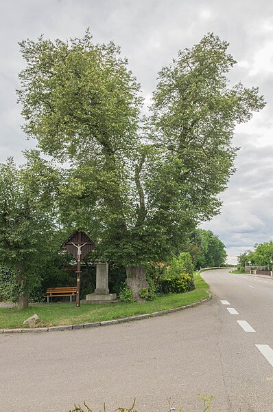 File:Rain Staudheim Linde an der Römerstraße 006.jpg