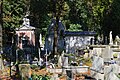 Graves at Rakowicki View D