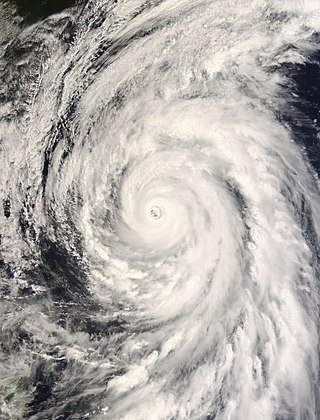 <span class="mw-page-title-main">Typhoon Rammasun (2008)</span> Pacific typhoon in 2008