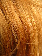 Red Hair Wikipedia