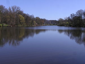 Reinbek Mühlenteich P4070047.JPG