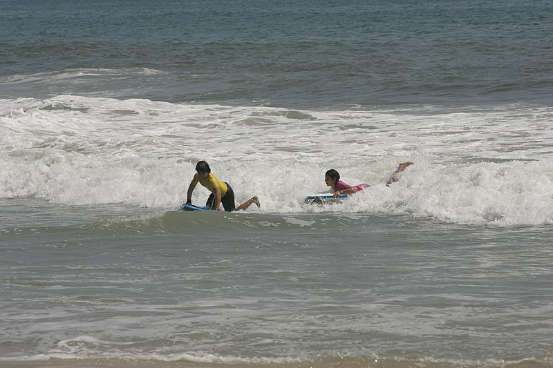 File:Riding waves - DPLA - 9a9ed6d57465fbb121028a357087b0e6.JPG