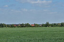 Rieplos and surrounding fields