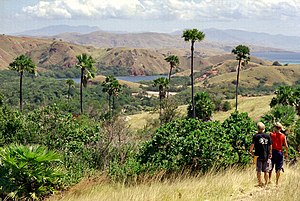 View of Rinca, 2006