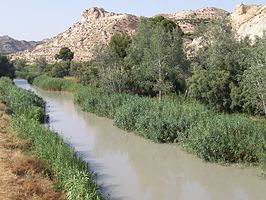 El río Segura a su paso por Archena.