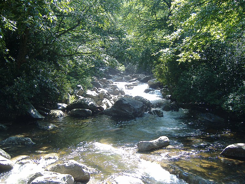 File:River along Chimney Tops trail - panoramio.jpg