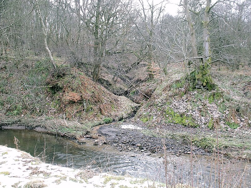 File:Rivulet - geograph.org.uk - 1739762.jpg