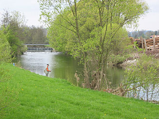 The Rodach am Zollwehr near Neuses (Kronach)