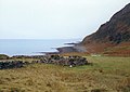 Ruined croft Boreraig, Skye - geograph.org.uk - 136318.jpg