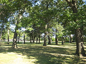 Runnymede Park.JPG