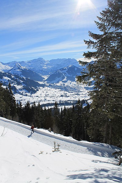 File:Saanenmöser - Plani - Rellerli - panoramio (37).jpg