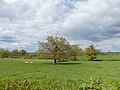 Vignette pour Bassin versant de l'étang des Landes