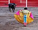 San marcos bullfight 01.jpg