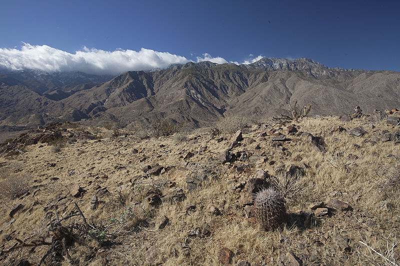 File:Santa Rosa and San Jacinto Mountains NM (9414938655).jpg