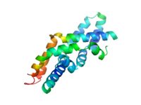 Saposin C dimer in an open conformation (PDB: 2QYP​).[9]