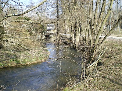 Ruisseau le Sausseron