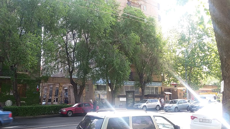 File:Sayat Nova Avenue (Yerevan) 25.jpg