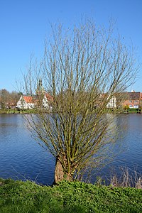 Schleswig-Holstein, Friedrichstadt, Naturerlebnisraum NIK 4989.jpg