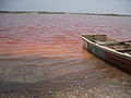 Senegal lago rosa