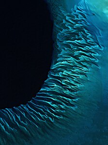 Sentinel-2 bahamas (cropped)