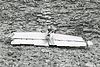 1956 Grand Canyon TWA - Zrakoplovna nesreća United Airlinesa