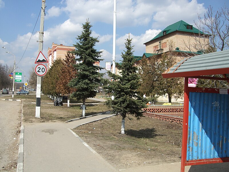 File:Shchapovo near bus stop 2011.jpg