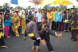 Silat: Jenis silat (umum), Etimologi, Sejarah