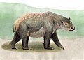 Silvabestius