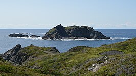 Zicht op Sleepy Cove Gull Island, een klein eiland voor de kust van North Twillingate Island