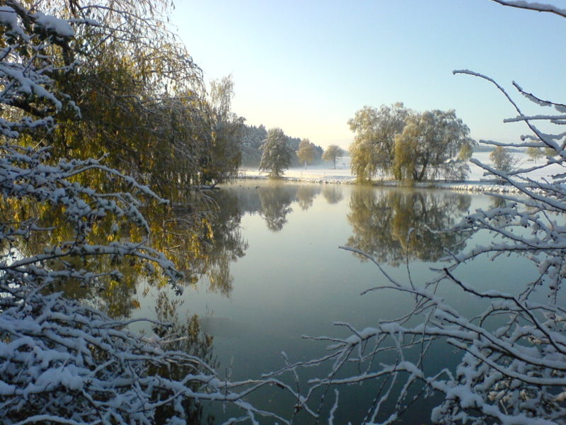 File:Snowlake.JPG