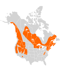 תפוצת חדף מים צפון אמריקני