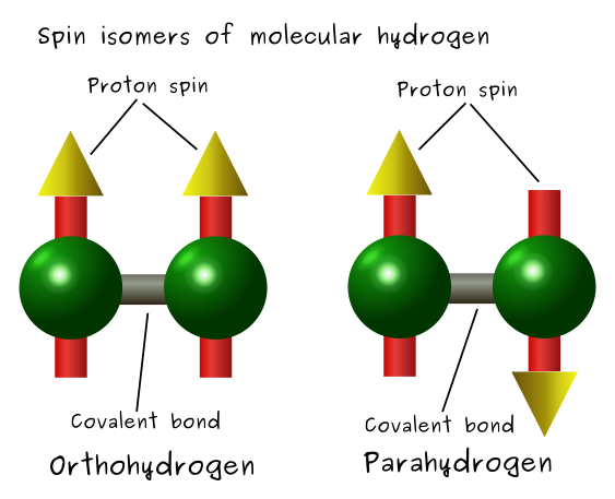 File:Spinisomers of molecular hydrogen.svg