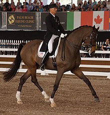 Steffen Peters riding Legolas at the CDI 5* West Palm Beach 2013 Steffen Peters - Legolas - CDI 5 Wellington 2013.jpg