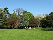 Stewart park-arboretum-2-800.jpg