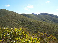 Vřesoviště v národním parku Stirling Range