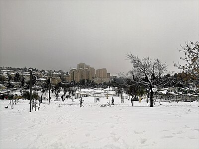 Storm Elpis in Jerusalem - January 27, 2022 - Sacher Park -2.jpg