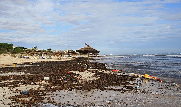 Strand in Tunesien nach einem Sturm TUNISIMG 2631WI